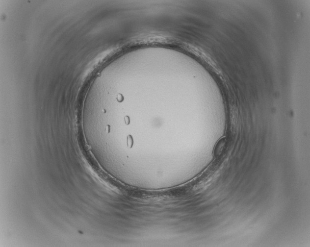 X0000071860629200607290158