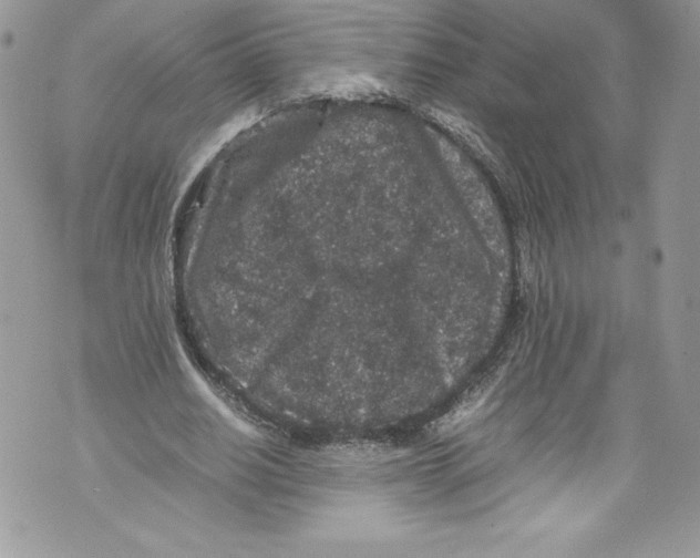 X0000071860630200607290158