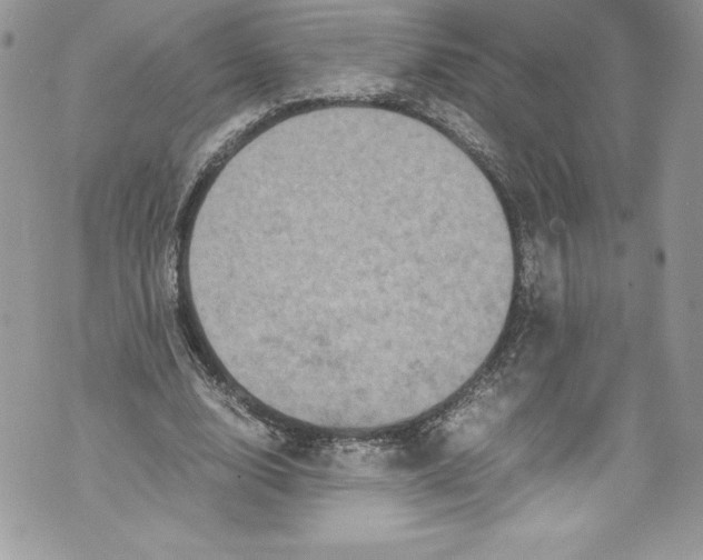 X0000071860632200607290158