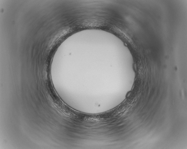 X0000071860635200607290158