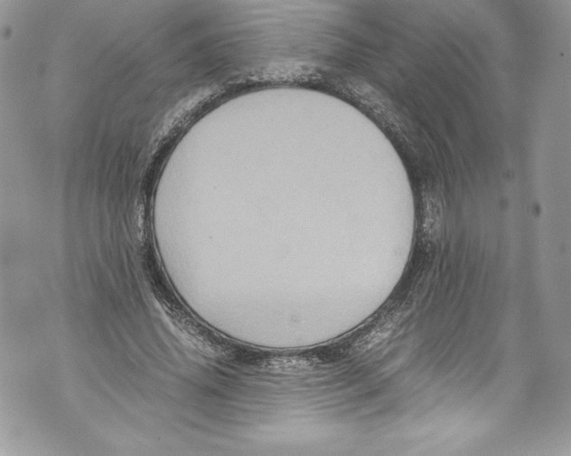 X0000071860636200607290158