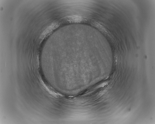 X0000071860638200607290158