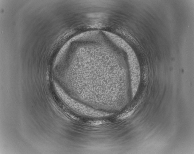 X0000071860639200607290158