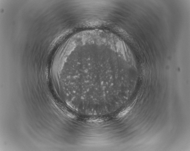 X0000071860640200607290158