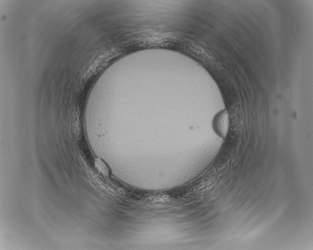 X0000071860642200607290158