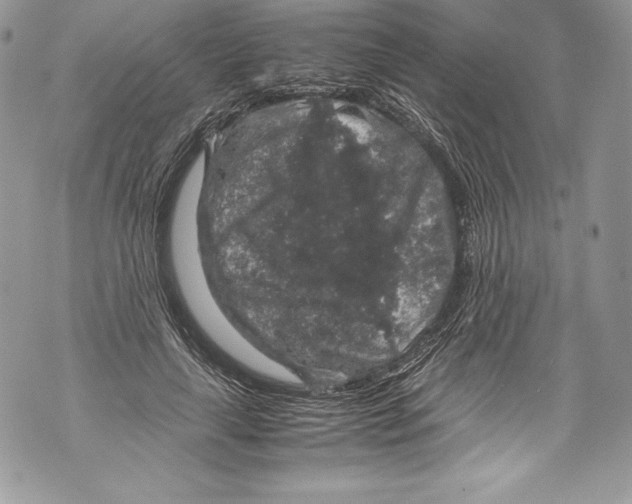 X0000071860643200607290158