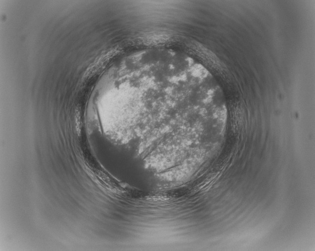 X0000071860644200607290158