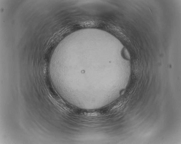 X0000071860645200607290158