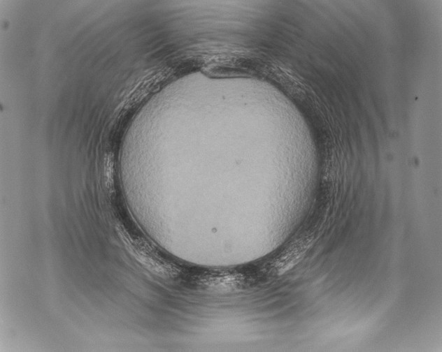 X0000071860646200607290158