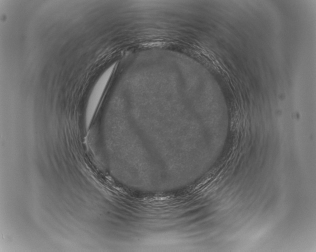 X0000071860647200607290158