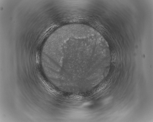 X0000071860648200607290158