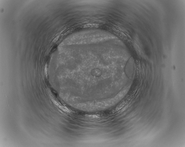 X0000071860649200607290158