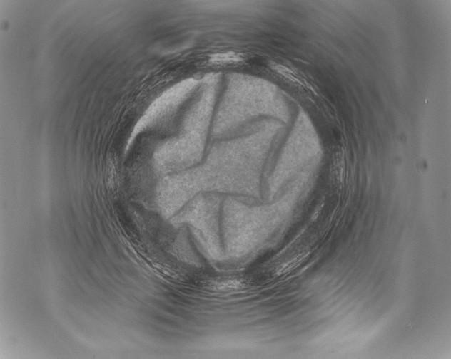 X0000071860651200607290158