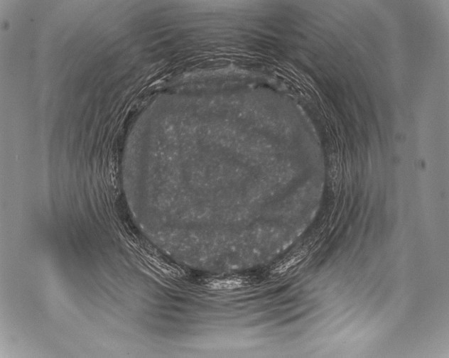 X0000071860653200607290158