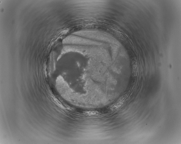 X0000071860654200607290158