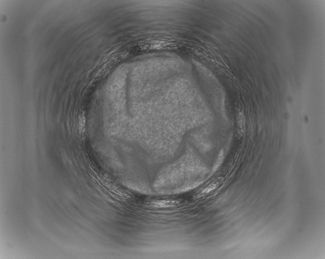 X0000071860657200607290158