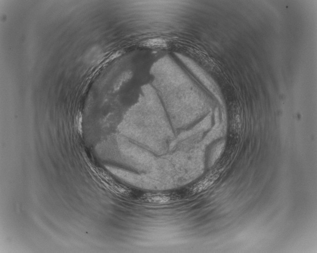 X0000071860658200607290158