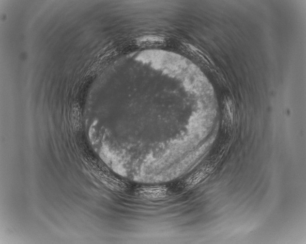 X0000071860659200607290158