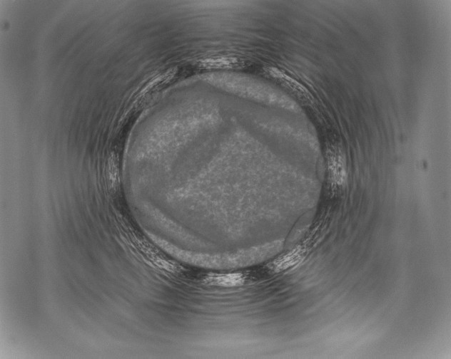 X0000071860665200607290158