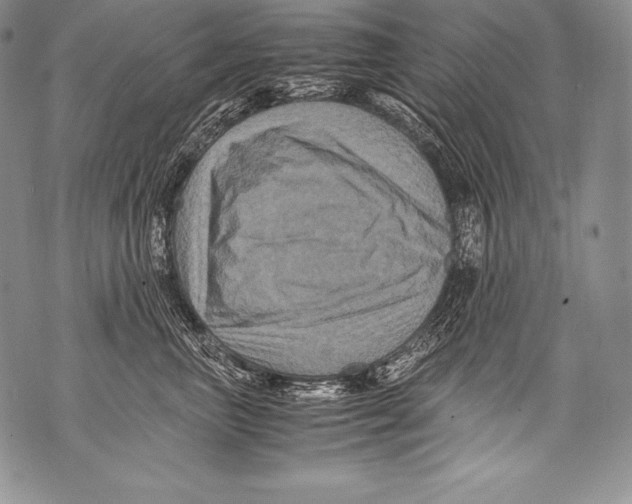 X0000071860667200607290159