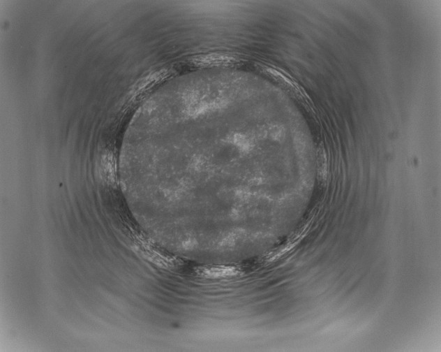 X0000071860669200607290159