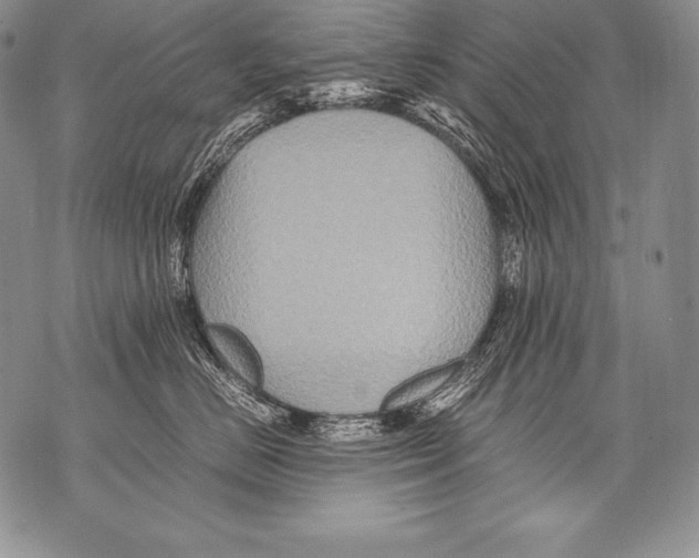 X0000071860670200607290159