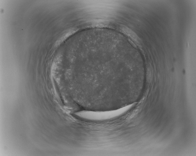 X0000071860673200607290158