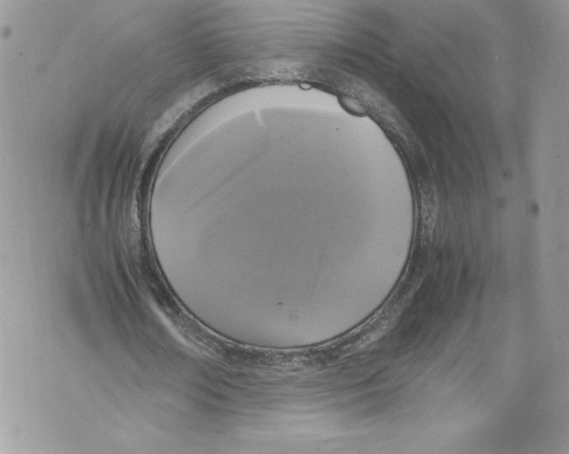 X0000071860674200607290158