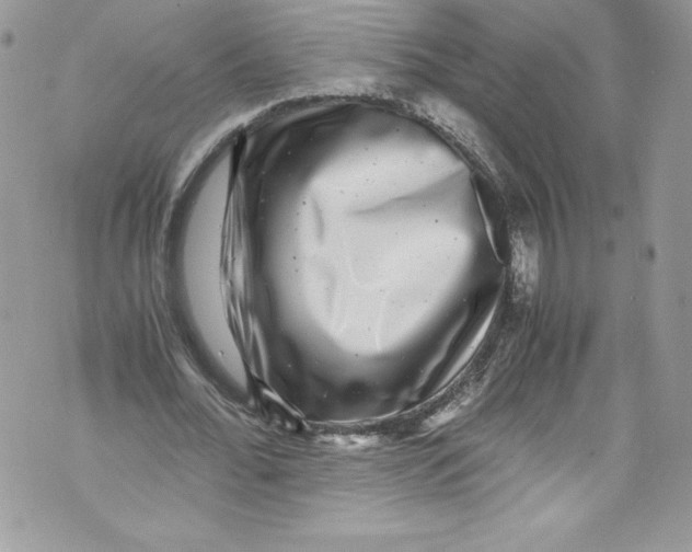 X0000071860676200607290158