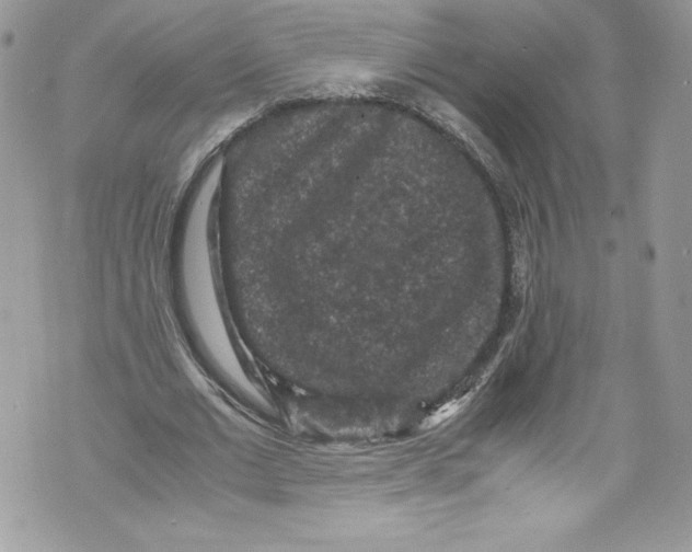 X0000071860677200607290158