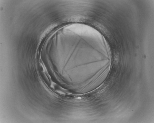 X0000071860678200607290158