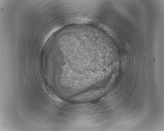 X0000071860679200607290158