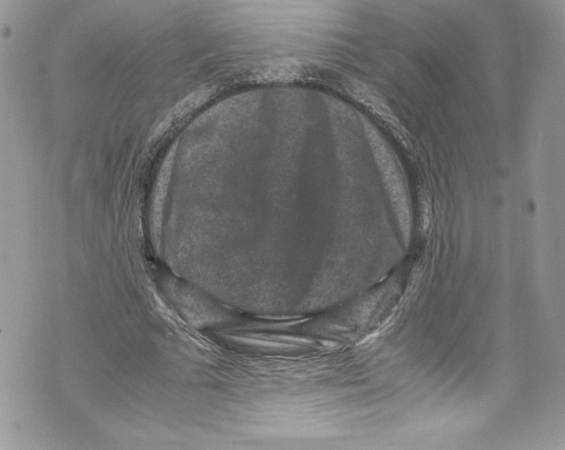 X0000071860681200607290158