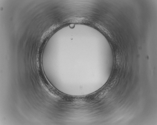 X0000071860682200607290158