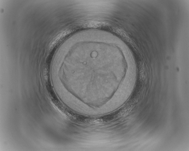 X0000071860683200607290158