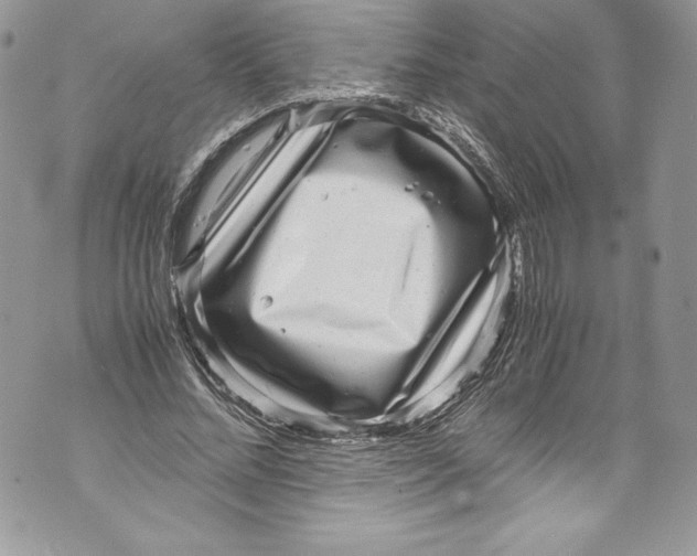 X0000071860684200607290158