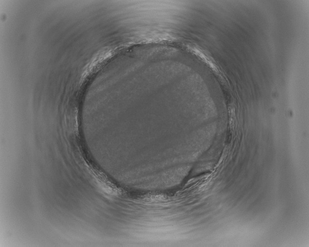 X0000071860685200607290158