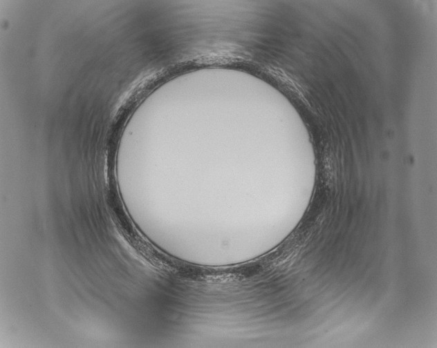 X0000071860686200607290158