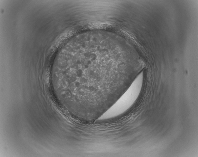 X0000071860687200607290158