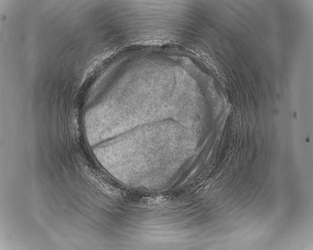 X0000071860688200607290158