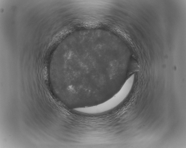 X0000071860689200607290158