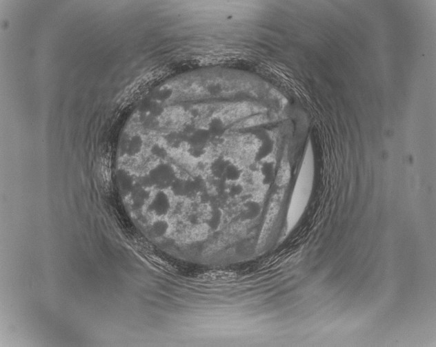 X0000071860691200607290158