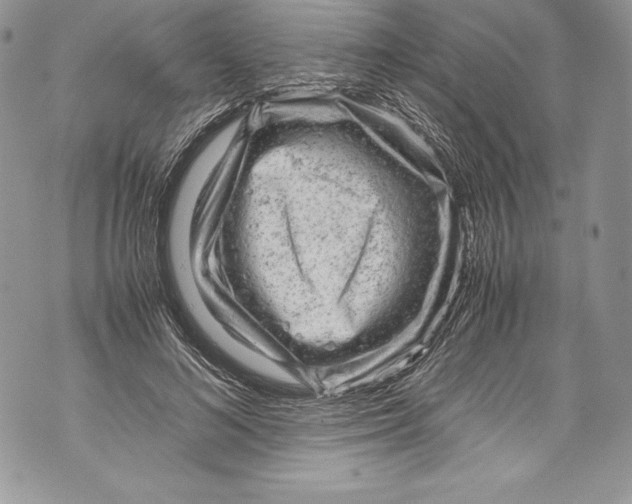 X0000071860692200607290158