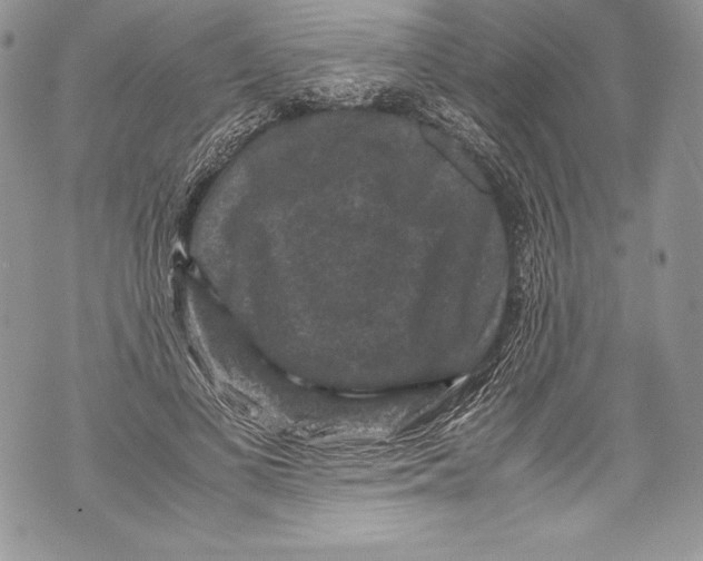 X0000071860693200607290157