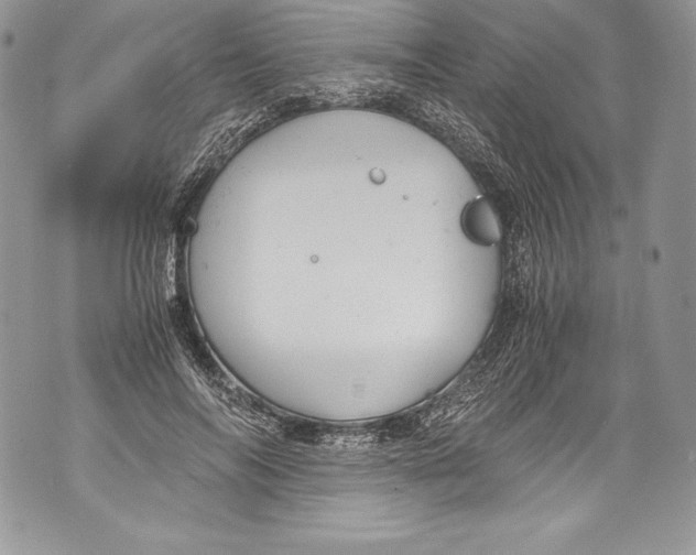 X0000071860694200607290157