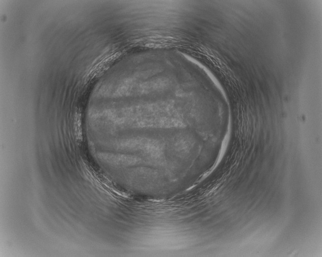 X0000071860696200607290157