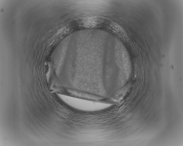 X0000071860697200607290157