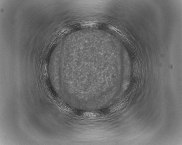 X0000071860699200607290157