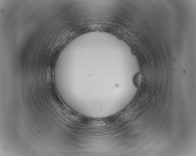 X0000071860702200607290157