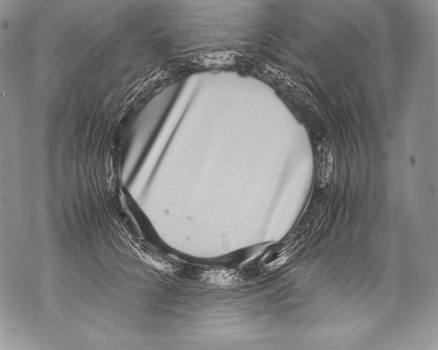 X0000071860704200607290157